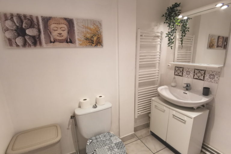salle d'eau 101 Clos saint medard